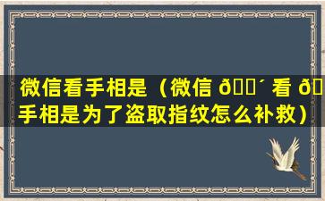 微信看手相是（微信 🐴 看 🐵 手相是为了盗取指纹怎么补救）